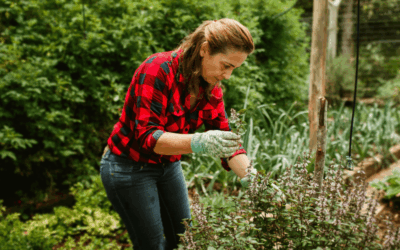 Financing Your Growth: Avoiding the Most Common Pitfalls