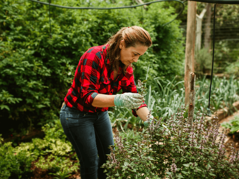 sadc-laurentides_financement-croissance_entreprise